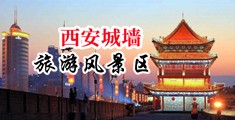 双男互操视频.com中国陕西-西安城墙旅游风景区